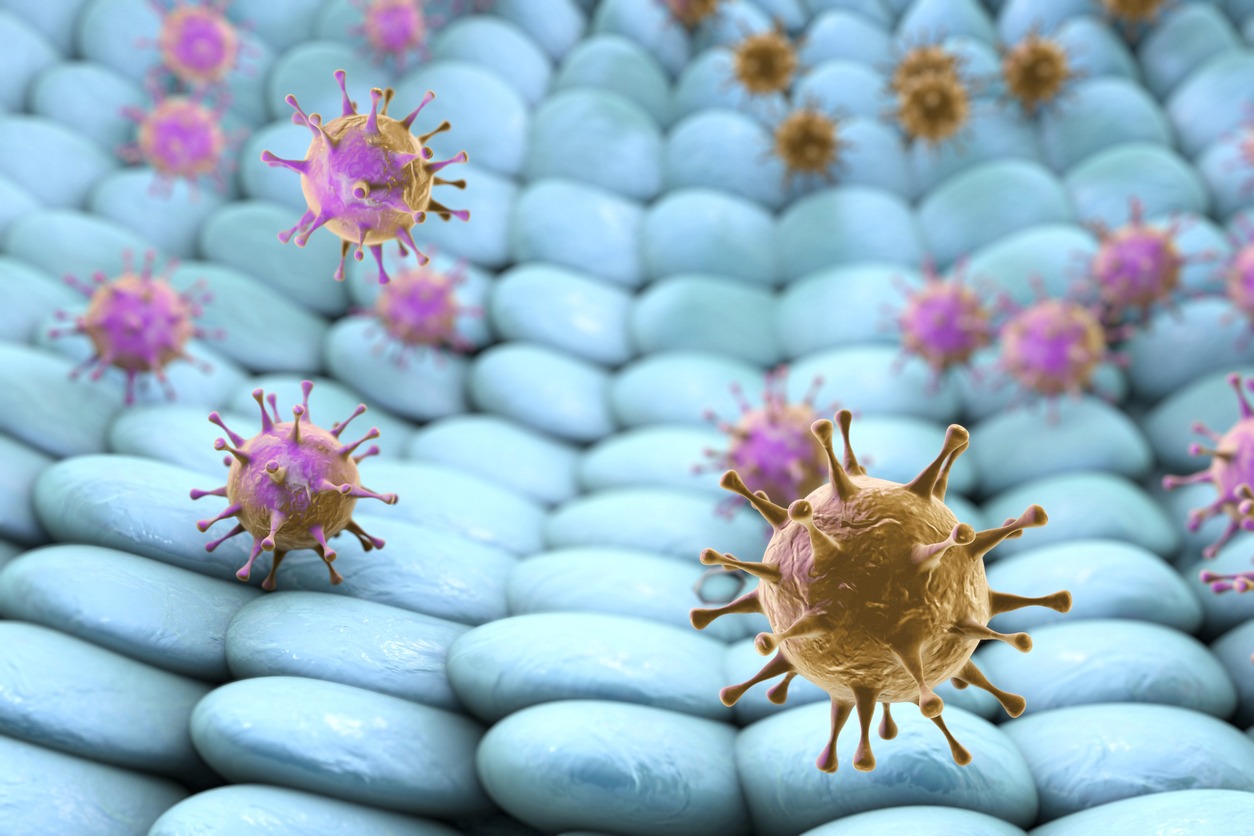 3D illustration of Viruses infecting human cells