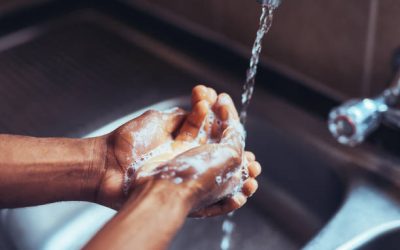 EN 12791, EN 1500 and EN 1499 – Regulatory Submission for Hand Disinfection Returns